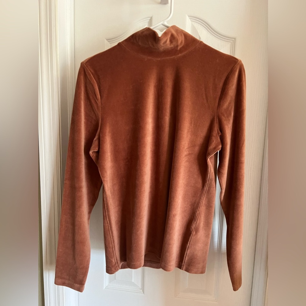Everlane brushed organic cotton turtleneck